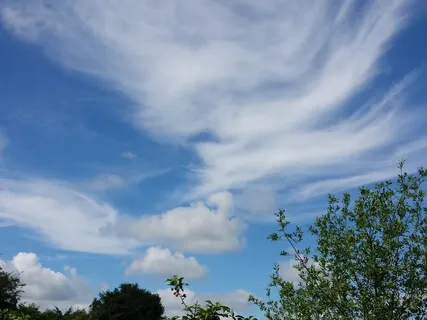 Sounds And Thoughts Meditation