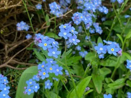 Sounds And Thoughts Meditation For Overthinking