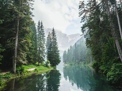 Sounds And Thoughts Meditation