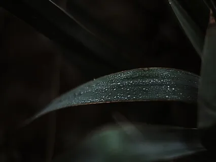 Sounds Are All Around