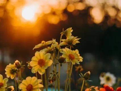 Sounds For Evening Relaxation: A 5-Minute Crystal Singing Bowl Sound Bath