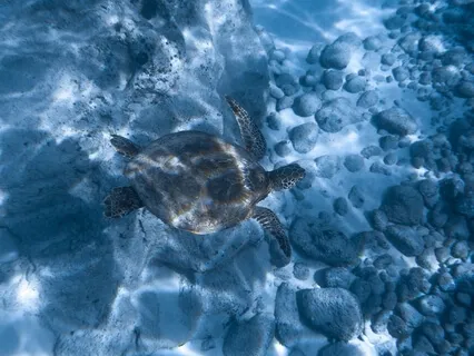  Sounds Of A Deep Earth Dreaming - 432Hz