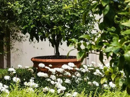 Sounds Of Birds And The Rain In The Woods For Deep Sleep