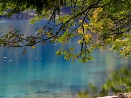 Sounds Of Nature, Guided Relaxation