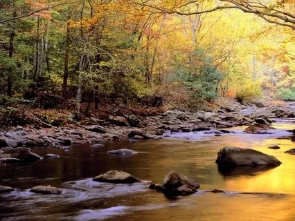 Sounds of Nature: Soft River