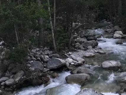 Sounds of Rushing Water