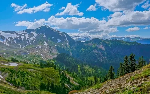 Sounds Of The Forest: A Relaxing Ambience, Episode - 11