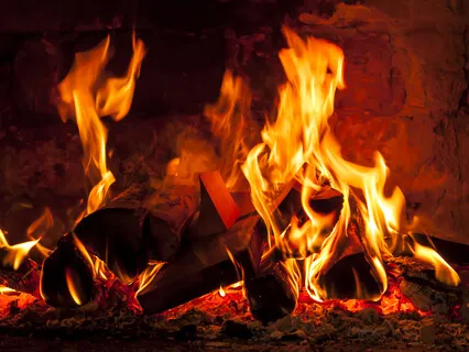 Sounds Of The  Night