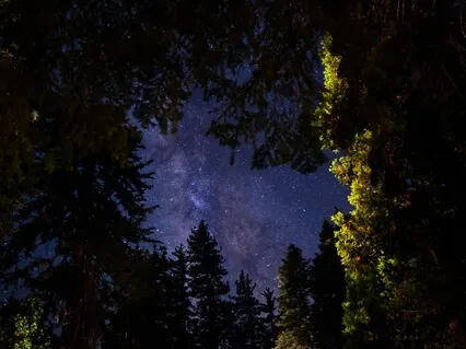 Sounds Of The Night Sky