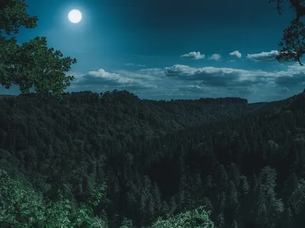 Sounds Of Tranquility With Crystal Bowls & Chimes