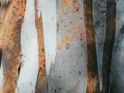 Sounds, Thoughts, and Emotions Practice