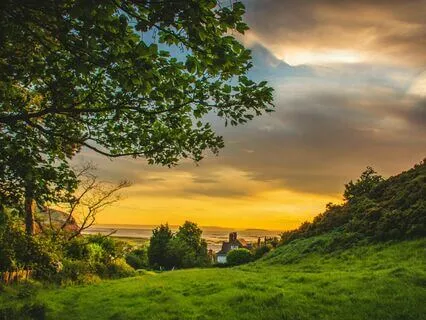 Sounds To Elevate Your Energy