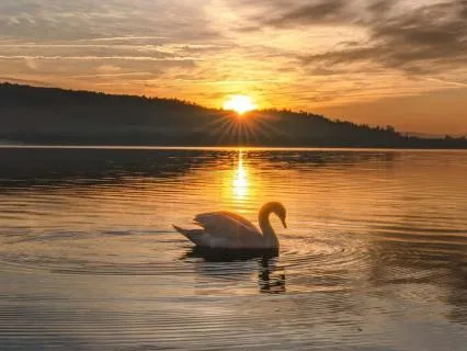 Soundscape for Sleep & Stillness