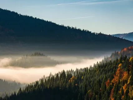 Soundscape: Morning Awakening Of A Tennessee Wooded Creek