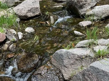 Soundscape: Summer Morning; Creek, Birds & Himalayan Bowls