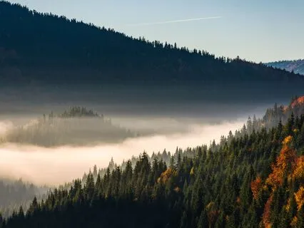 Soundscape: Summer Night Campfire, Frogs & Himalayan Bowls