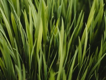 Source Abundance From Within