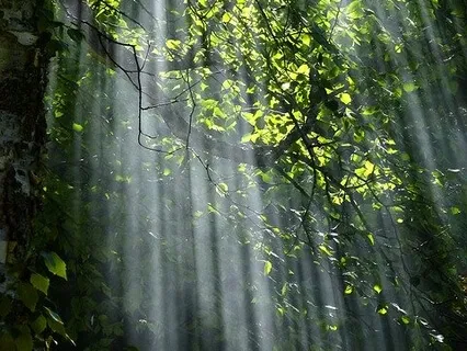 Source Connection Meditation