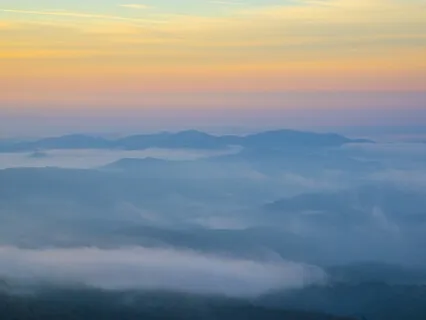 Source of Life - Guitar & Strings