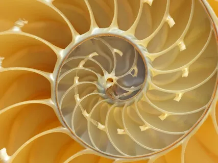 Sourcing Light Through Your Chakras & Energy Field