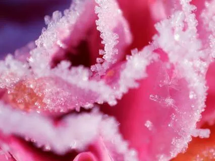 Sovereign Heart Series: Breaking The Internal Silence