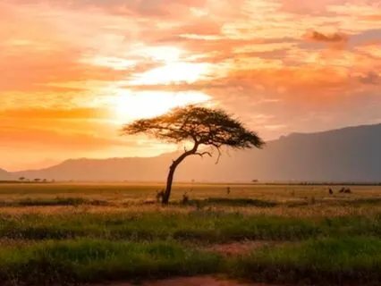 Sovereign Soul Daily Activation - Pause, Unwind & Reset