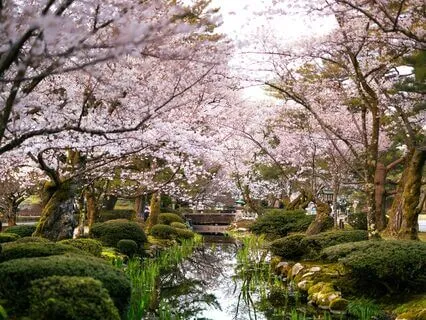 Sovereign Soul, Majestic Vibes to Awaken Your Inner Power