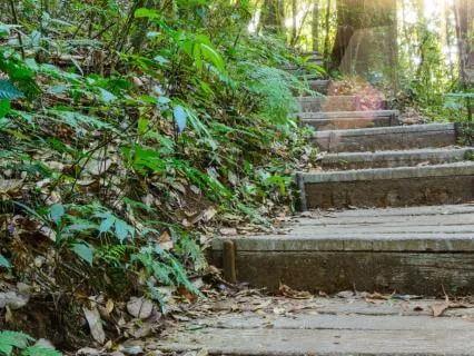 Sovereign Wholeness: Moving Beyond The Need To Be Fixed