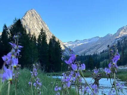 Sovereignty Activation Meditation