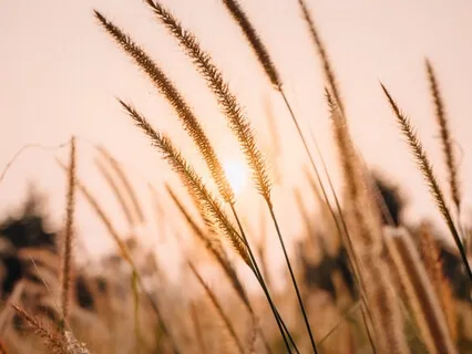 Soy un Alma Pacífica y Poderosa - Meditación de 30 Minutos 