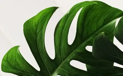 SPA Meditations: Head & Neck Meditation Massage 5 minutes 