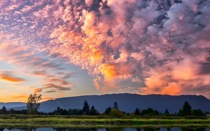 Spa Music Relaxtion - Stress Relief