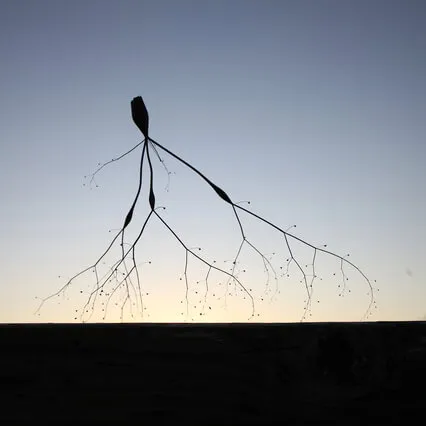 Space & Clarity Meditation