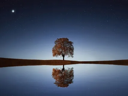 Space Floating For Sleep And Rest