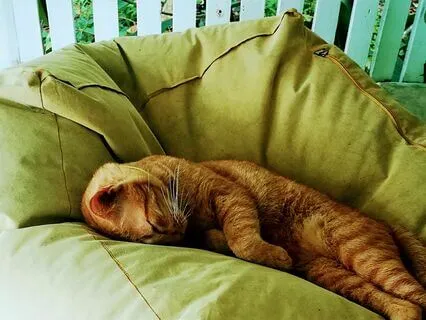 Space For Inner Peace - A Buddhist Forgiveness Meditation