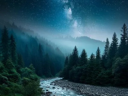 Space Forest - Deep Music For Meditation And Sleep