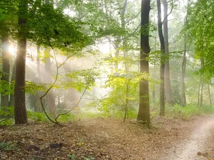 Space Of Love - Piano Meditation