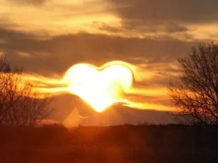 Space To Feel Yoga Nidra