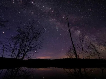 Spacey Travels: Dreams Within