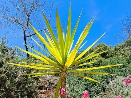 Spacious Awareness As A Safe And Holding Container