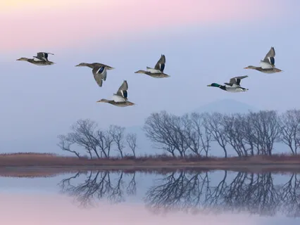 Spacious Meditation With Ambient Mantra & Crystal Slide