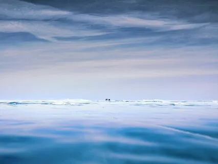 Spacious, Quiet Presence