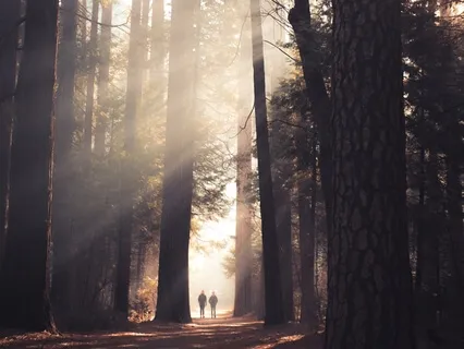 Spaciousness: Breath Awareness Meditation 