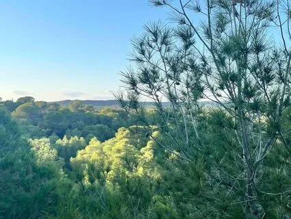 Spanish Retreat 2025 Nidra