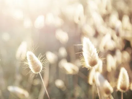 Spark Intuition With Light: Third Eye Chakra Energy Healing