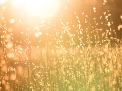 Sparkling Glittering Soul