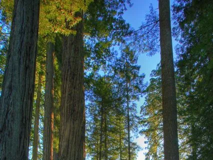 Spatiul Personal De Protectie Si reincarcare