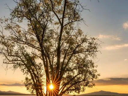 Speak Ye Little, Listen Much