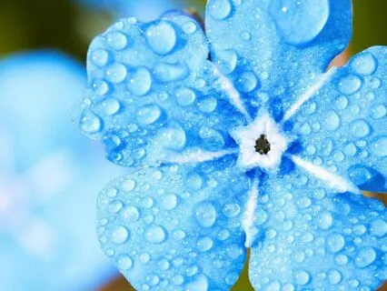 Speak Your Truth: Open Your Throat Chakra