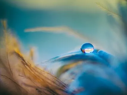 Speak Your Truth Tongue Drum Music With 7hz Binaural Tone